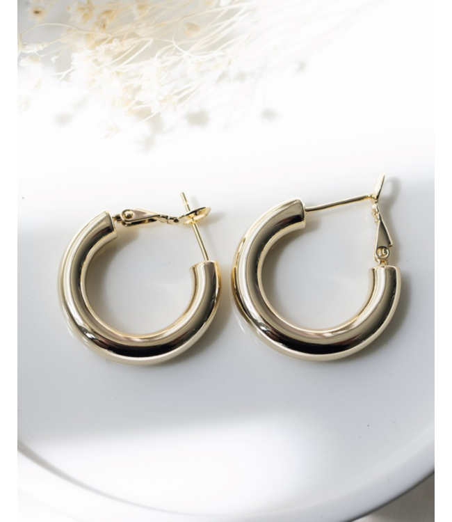 Glee Optimal Hoops  (silver + gold)