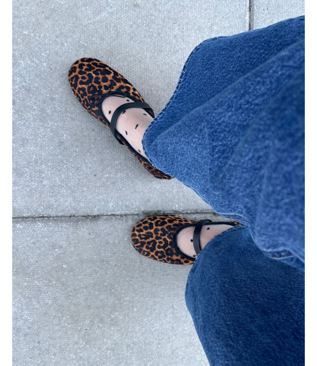 XS Unified Sheer Dot Socks