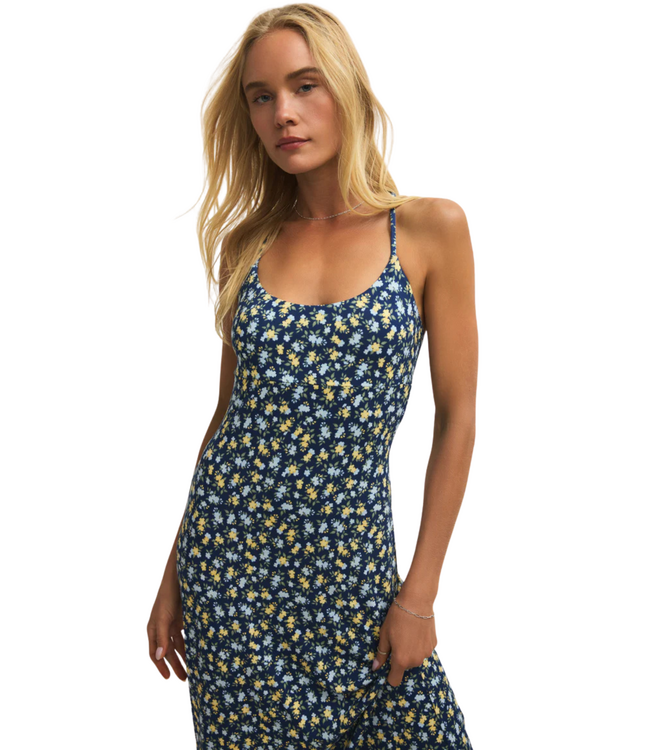 Z Supply Chiara Idra Dress