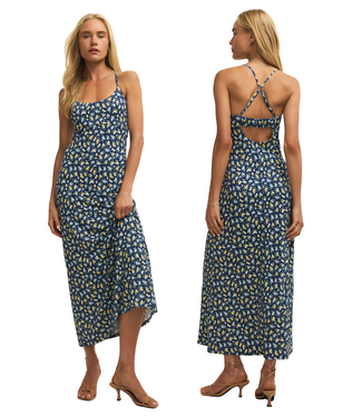Z Supply Chiara Idra Dress