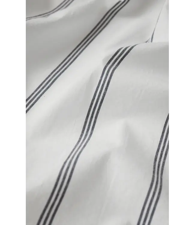 Z Supply Rolling Hills Shirt