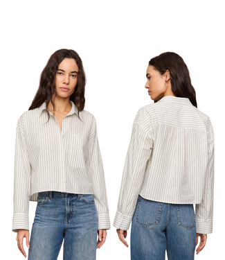 Z Supply Favourite Striped Button Up