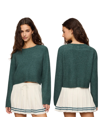 Z Supply Stand In Sweater