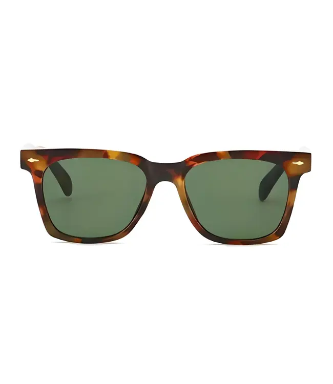 Shady Lady Ryan Sunglasses