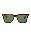 Shady Lady Ryan Sunglasses