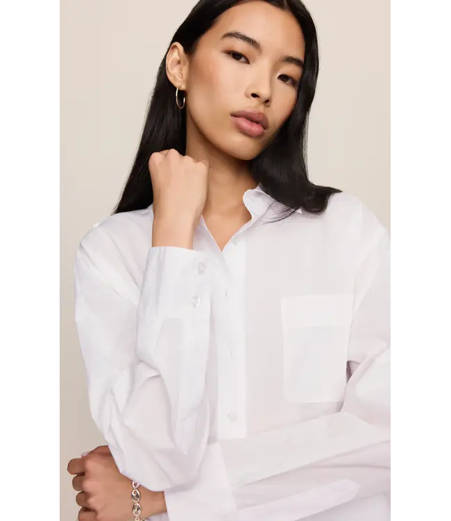 Z Supply Gallery Button Up