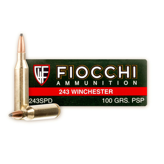 Fiocchi Fiocchi - 243 Win - 100gr SP - 20ct