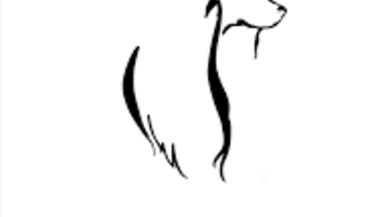 quadruped dog shampoo