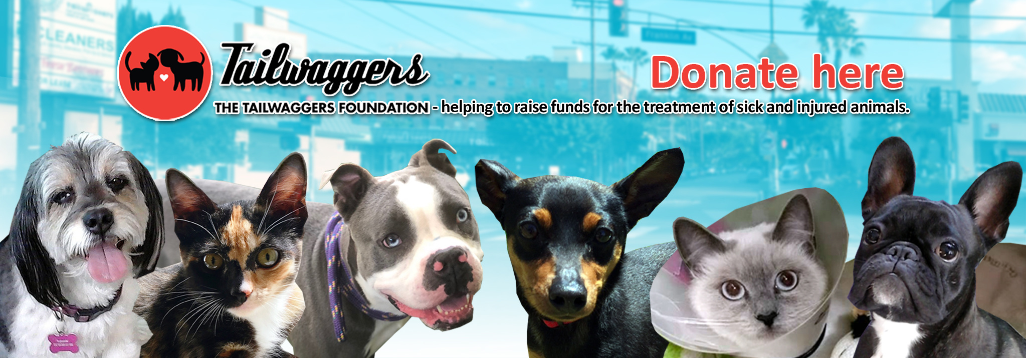The Tailwaggers Foundation