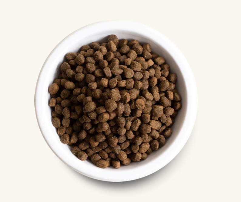 Open Farm Dog Kibble With Grain Salmon Tailwaggers