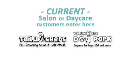 hollywood feed return policy