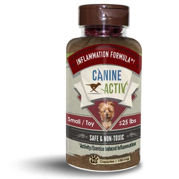 Vireo Canine Activ