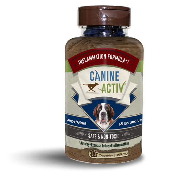 Vireo Canine Activ