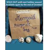 Mermaid Surprise Bag