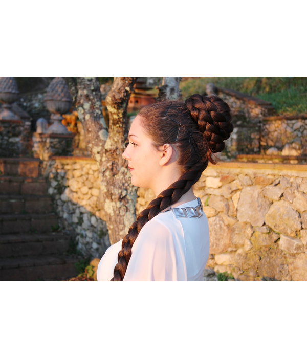 Braided Bun with Long Braid Down