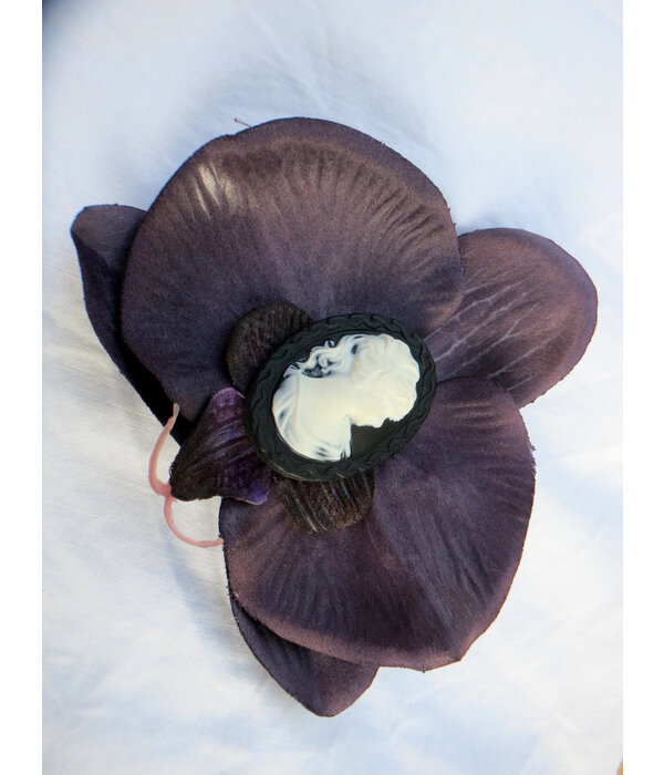 Dark Purple Cameo Orchid