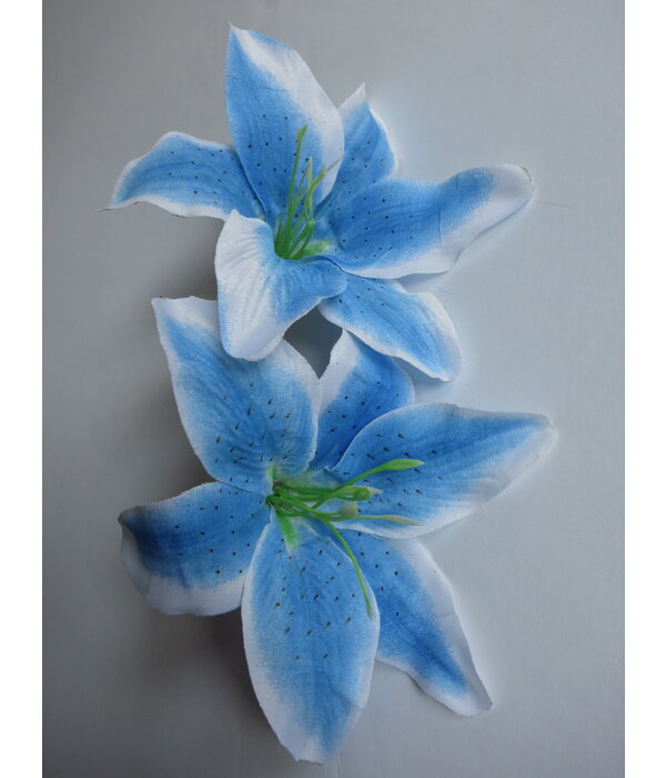 Mermaid Hair Flowers Lily blue white