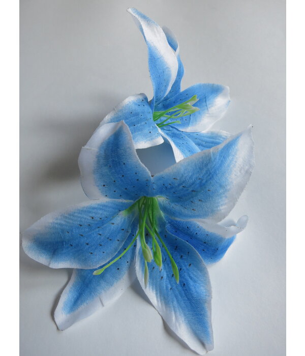 Mermaid Hair Flowers Lily blue white