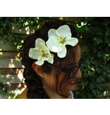 Ivory Orchid Hair Flowers 2 x