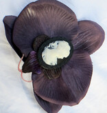 Dark Purple Cameo Orchid