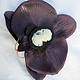 Dark Purple Cameo Orchid