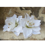 Wedding Amaryllis Hair Flower 2 x