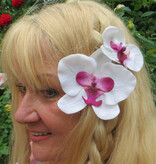 Orchid Hair Flower white pink 2x