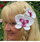 Orchid Hair Flower white pink 2x