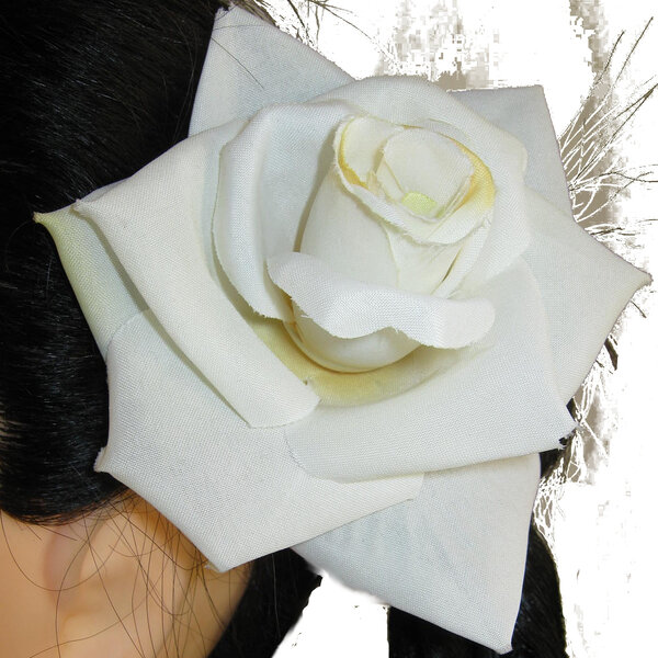 Cream-White Rose 2 x