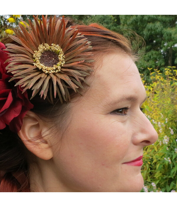 Brown Boho Daisy Hair Flowers