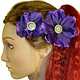 Purple Button Magnolia 2 x