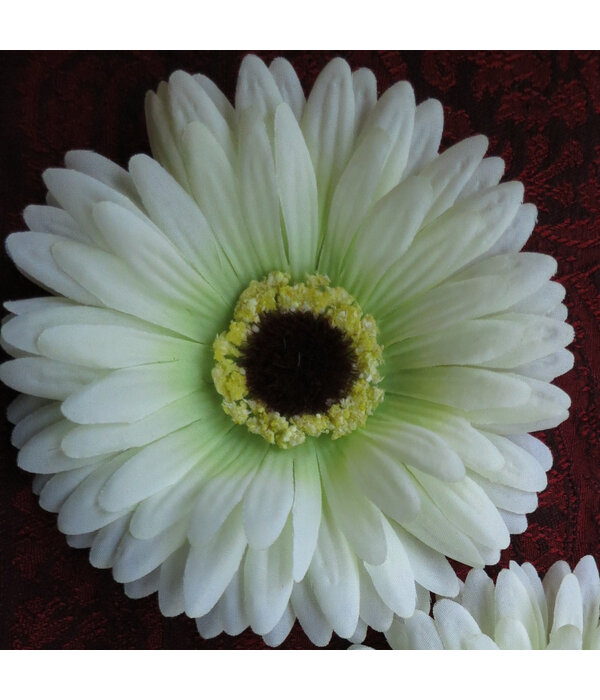 Cream-Green Chrysanthemum Hair Flower 2 x