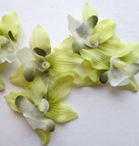 Fair Green Mini Orchid Hair Flowers