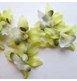 Fair Green Mini Orchid Hair Flowers