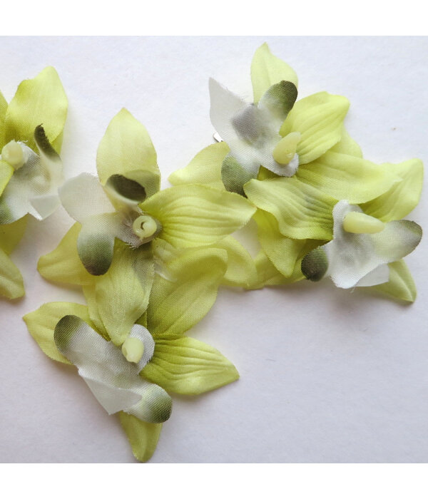 Fair Green Mini Orchid Hair Flowers