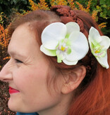 Green Fairy Orchids 2 x