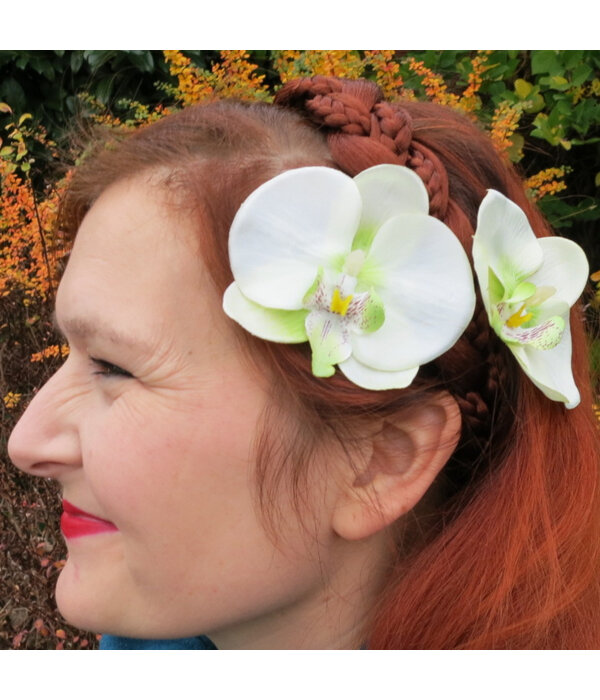 Green Fairy Orchids 2 x