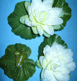 Mermaid Water Lily Hair Flower Set