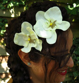 Ivory Orchid Hair Flowers 2 x