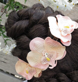 Shabby Chic Style Orchids