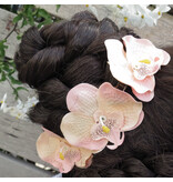 Shabby Chic Style Orchids