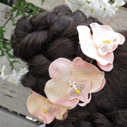 Shabby Chic Style Orchids