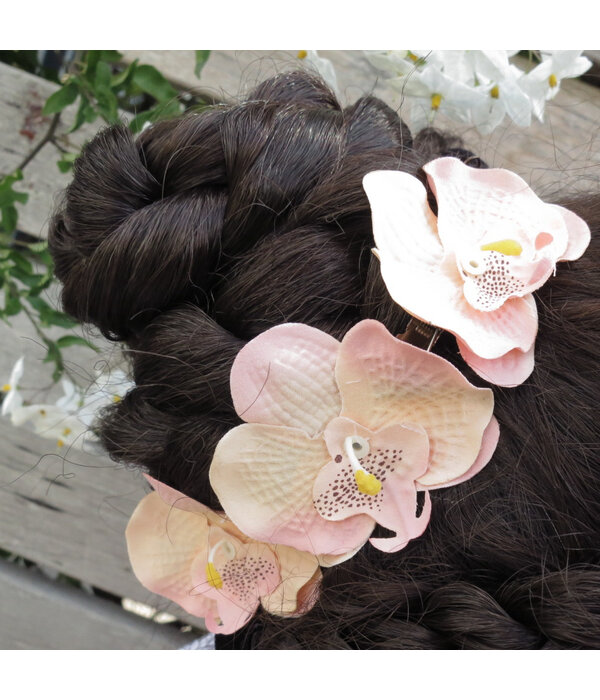 Shabby Chic Style Orchids