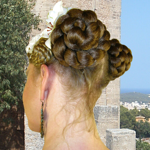 Braided Hair Buns