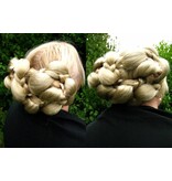 2 x Elf Braid, darkest brown