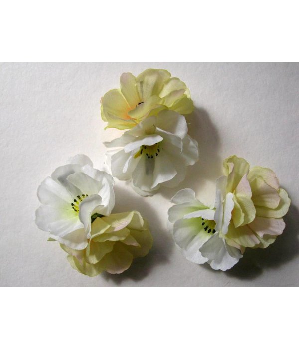 Fairy Larkspur hair flowers