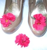 Pink Lolita Larkspur Flowers