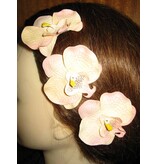 Shabby Chic Style Orchids