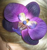 Purple Paradise Orchids 2 x