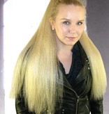Layered Diva Hair Bun Updo L